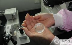 2023年格鲁吉亚高龄试管赠卵费用是多少？