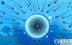 单身高龄女性试管婴儿费用是多少？附费用明细