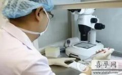 2024国内高龄试管男孩最好的医院费用多少钱？