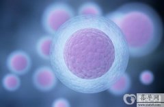 2024高龄试管婴儿男孩的成功率高吗？影响因素有哪些？