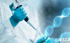 2024高龄试管婴儿成功率高吗？做三代费用多少钱？