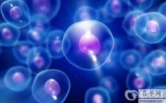 高龄做试管卵泡数量少怎么办？内附调理方法