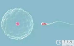 重庆试管婴儿有什么减免政策？高龄女性做试管移植适合多少胚胎？