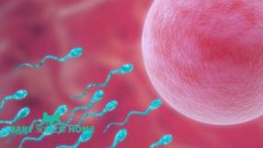 2024高龄女性申请供卵试管排队时间公布，附供卵试管费用详情