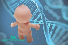 澳门高龄女性试管婴儿可以选性别吗？费用多少钱？