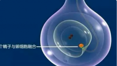 想让去格鲁吉亚试管婴儿成功率更高，这四个准备不得不做过好！