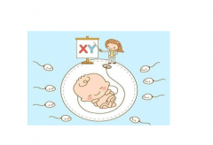 这些秘诀教您预测生男生女！