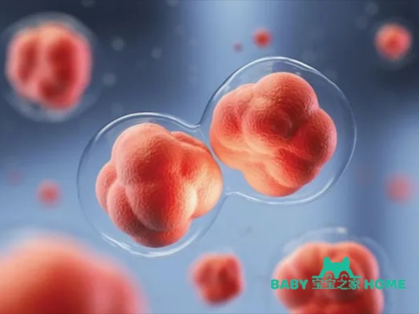 38岁高龄做试管婴儿怎样才能一次成功
