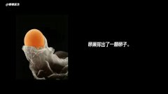 “阳了” 会不会影响卵子和精子质量吗？