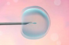 湛江正规试管机构正规吗？2024试管成功率排名参考