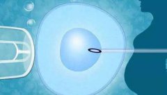 泰安私人机构做三代试管婴儿医院费用要花多少钱，附2024最新生殖排行榜详情