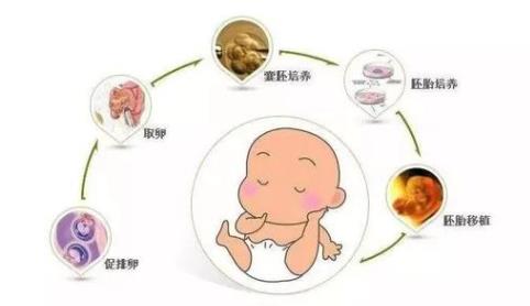 多囊三代试管婴儿成功率为什么高（费用清单及成功率参考）