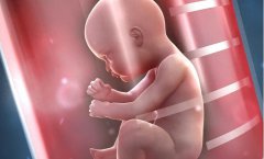 中国首例“试管婴儿”郑萌珠：被断言活不过40岁，如今咋样了？