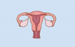 女性【激素】六项检查时间及误区
