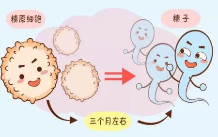 什么是生理性卵巢囊肿？72岁老人卵巢囊肿如何治疗？（三代试管哪家好）