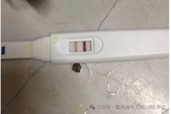 格鲁吉亚三代试管婴儿助孕“龙凤吉祥”