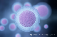 单身未婚男性进行试管婴儿的多重考量 invitro医院
